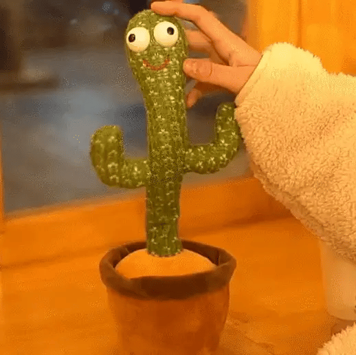 Cactus Bailarin 🌵👶